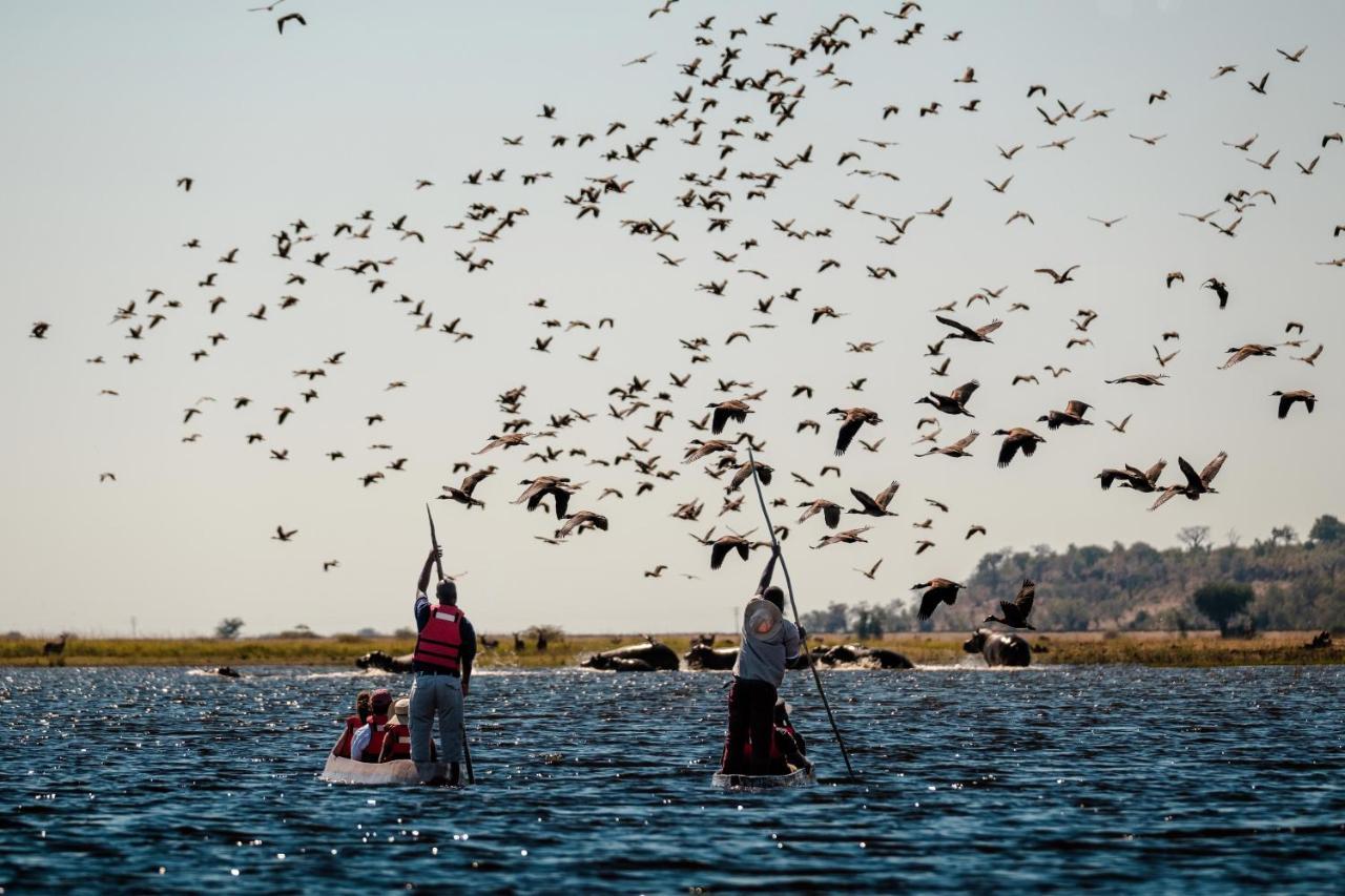 Chobe Marina Lodge Kasane Luaran gambar