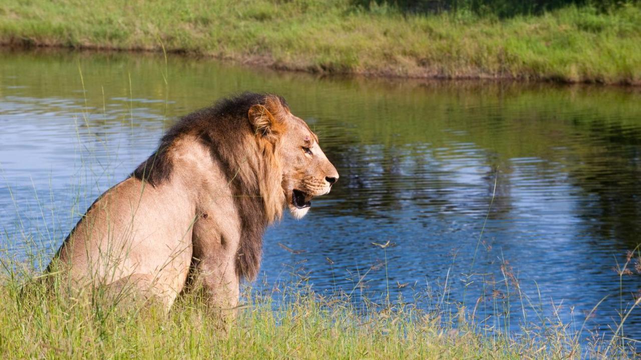 Chobe Marina Lodge Kasane Luaran gambar