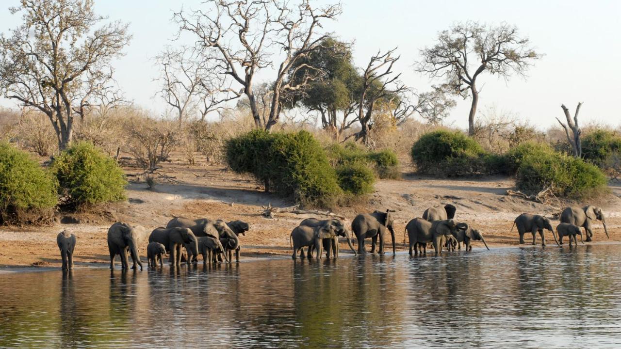 Chobe Marina Lodge Kasane Luaran gambar