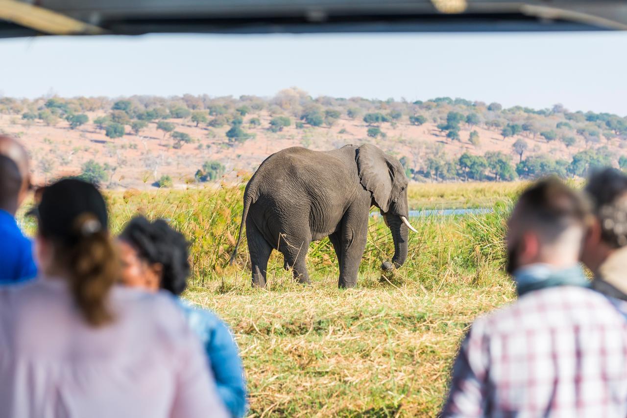 Chobe Marina Lodge Kasane Luaran gambar