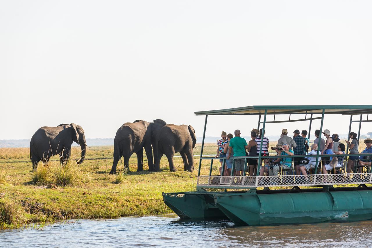 Chobe Marina Lodge Kasane Luaran gambar