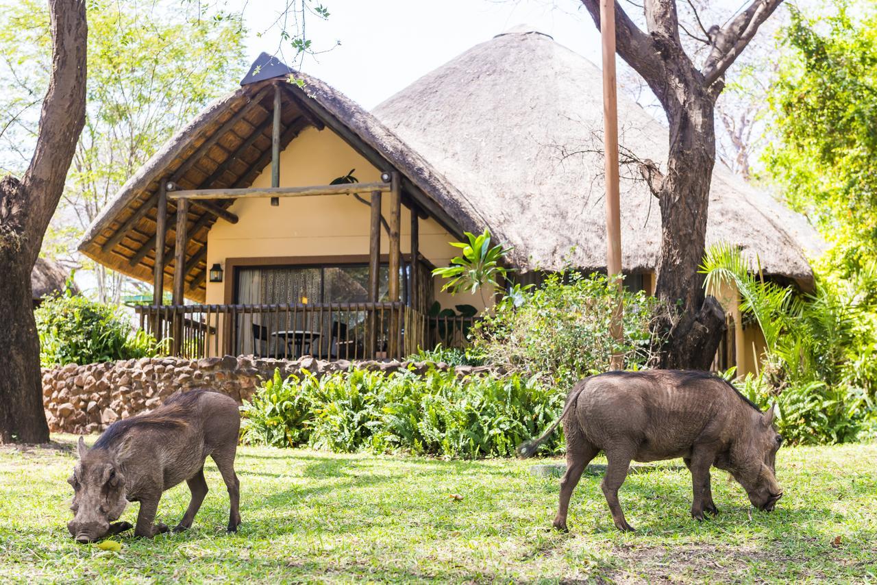 Chobe Marina Lodge Kasane Luaran gambar